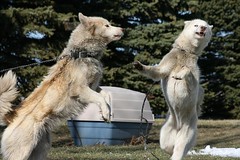 Just A Week This Time