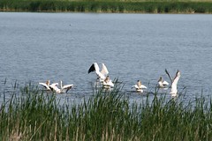 A Long Weekend Comes To A Close