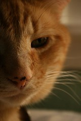 And Along Comes Christmas!